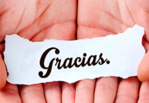 Agradecer por Todo lo Que Hay a Tu Alrededor