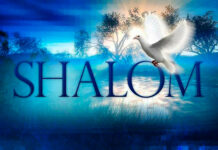 Shalom, Paz