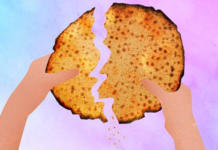 ¿Por Qué Partimos la Matzá?