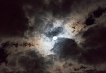 ¿Por Qué Contamos el Ómer Siempre de Noche?
