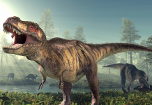 La Evolución