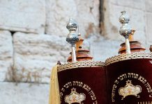 ¿Como la Torá y las Mitzvot Aportan a la Paz Mundial?