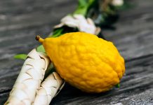 La Historia del Etrog