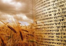Horarios Shavuot