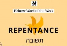 Arrepentimiento: Teshuvá (תְּשׁוּבָה)