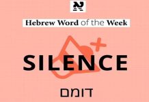 Vida Inmóvil : Domem (דּוֹמֵם)