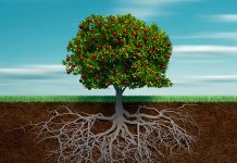No Dependo de la Tierra Donde Nací