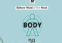 Cuerpo: Guf (גּוּף)