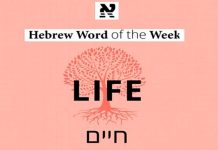 Vida: Jaím (חַיִּים)