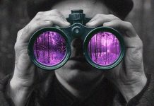 Cambia Tu Perspectiva, Cambia Tu Realidad