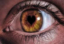 Los Ojos Del Corazón