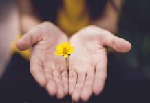 Interiorizando La Gratitud