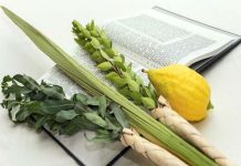 ¿Cómo Recitar La Bendición Del Lulav?