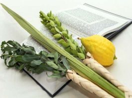 ¿Cómo Recitar La Bendición Del Lulav?